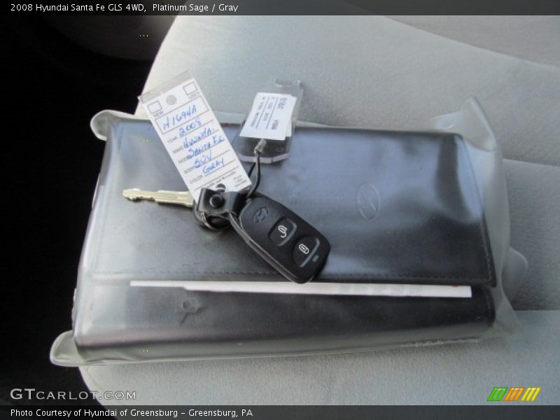 Platinum Sage / Gray 2008 Hyundai Santa Fe GLS 4WD
