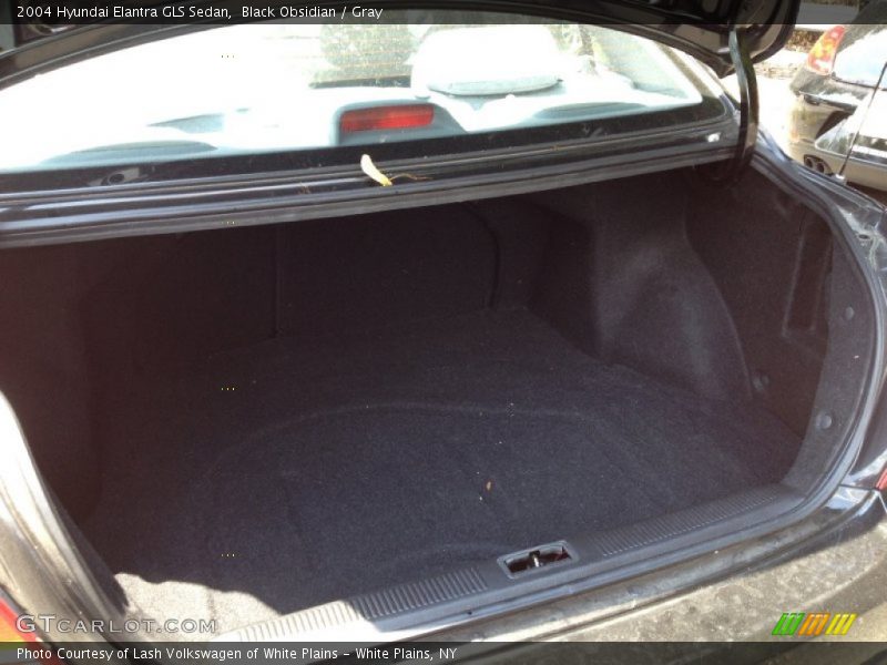 Black Obsidian / Gray 2004 Hyundai Elantra GLS Sedan