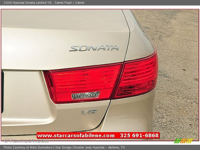 Camel Pearl / Camel 2009 Hyundai Sonata Limited V6