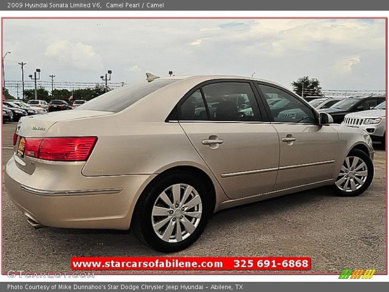 Camel Pearl / Camel 2009 Hyundai Sonata Limited V6
