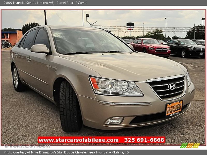 Camel Pearl / Camel 2009 Hyundai Sonata Limited V6