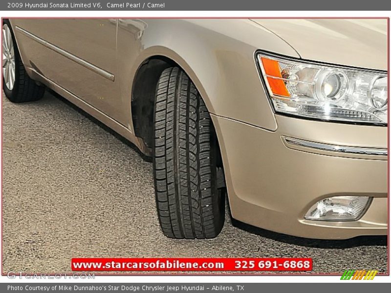 Camel Pearl / Camel 2009 Hyundai Sonata Limited V6