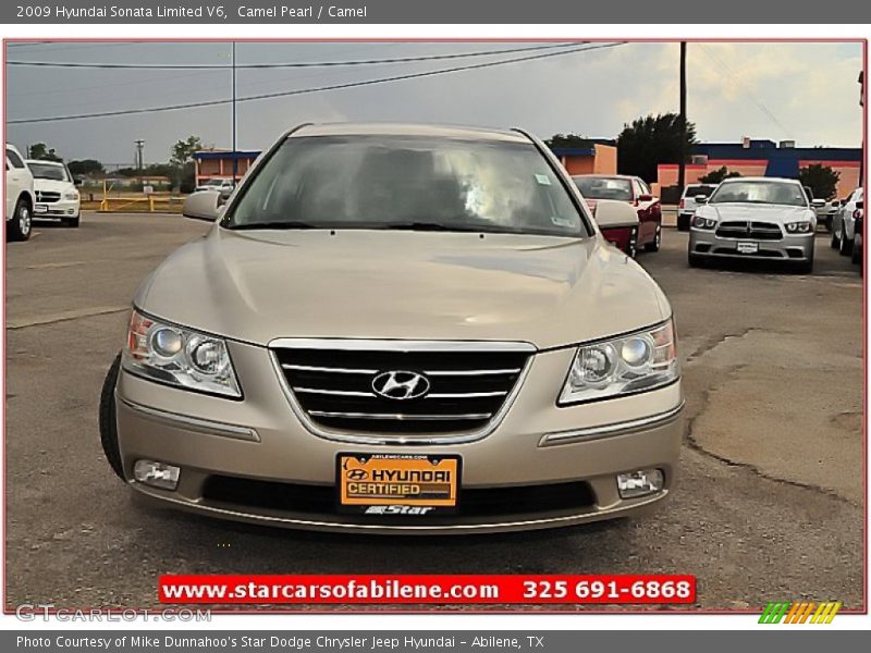 Camel Pearl / Camel 2009 Hyundai Sonata Limited V6