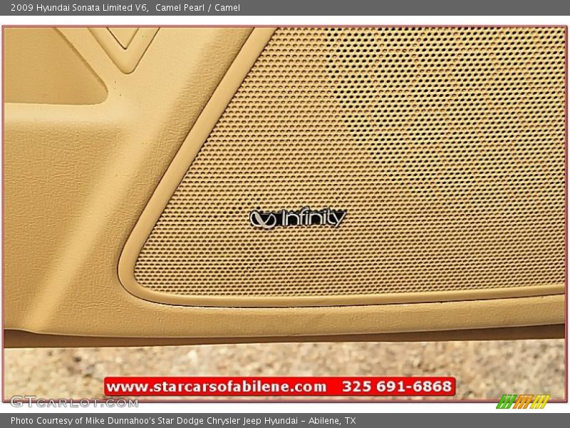 Camel Pearl / Camel 2009 Hyundai Sonata Limited V6