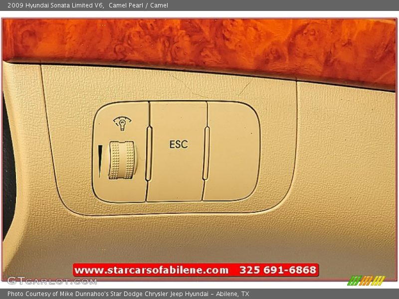 Camel Pearl / Camel 2009 Hyundai Sonata Limited V6
