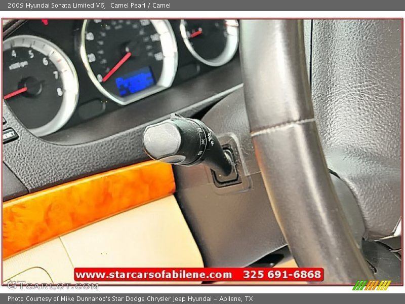 Camel Pearl / Camel 2009 Hyundai Sonata Limited V6