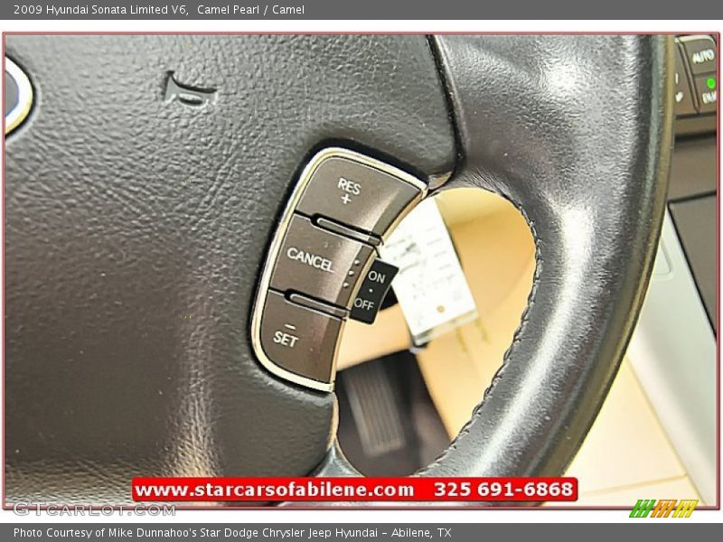 Camel Pearl / Camel 2009 Hyundai Sonata Limited V6
