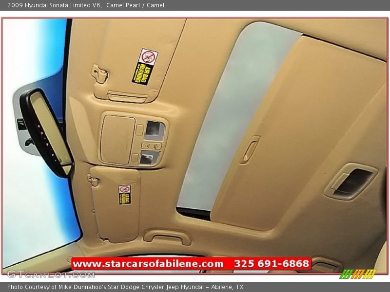 Camel Pearl / Camel 2009 Hyundai Sonata Limited V6