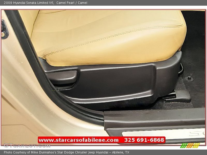 Camel Pearl / Camel 2009 Hyundai Sonata Limited V6