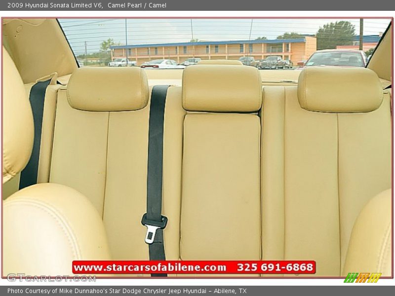 Camel Pearl / Camel 2009 Hyundai Sonata Limited V6