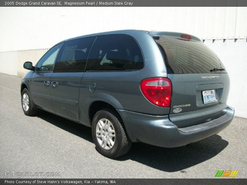 Magnesium Pearl / Medium Slate Gray 2005 Dodge Grand Caravan SE