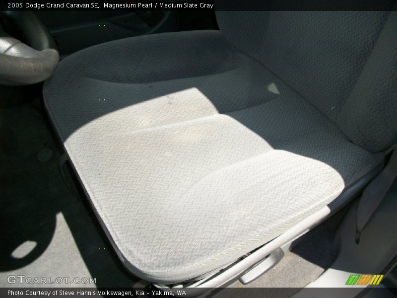 Magnesium Pearl / Medium Slate Gray 2005 Dodge Grand Caravan SE