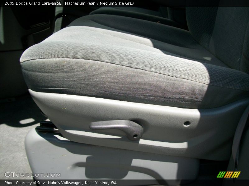 Magnesium Pearl / Medium Slate Gray 2005 Dodge Grand Caravan SE