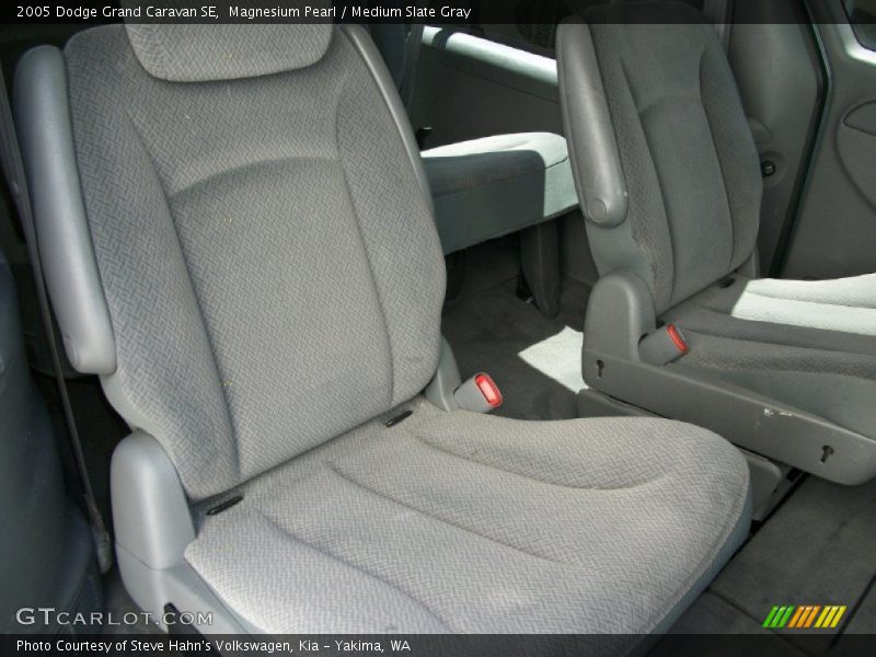 Magnesium Pearl / Medium Slate Gray 2005 Dodge Grand Caravan SE