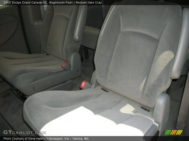 Magnesium Pearl / Medium Slate Gray 2005 Dodge Grand Caravan SE