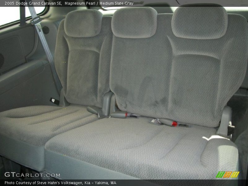 Magnesium Pearl / Medium Slate Gray 2005 Dodge Grand Caravan SE