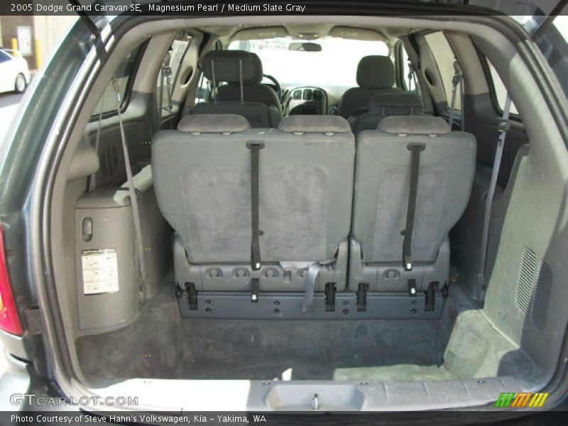 Magnesium Pearl / Medium Slate Gray 2005 Dodge Grand Caravan SE