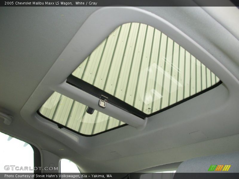 White / Gray 2005 Chevrolet Malibu Maxx LS Wagon