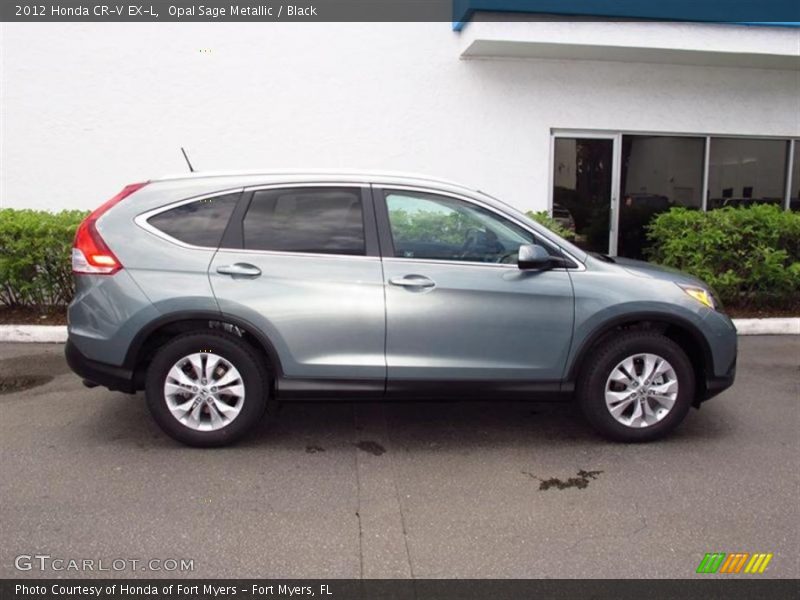 Opal Sage Metallic / Black 2012 Honda CR-V EX-L