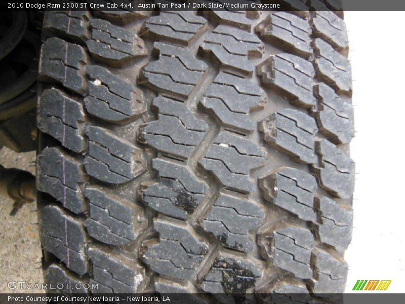 Austin Tan Pearl / Dark Slate/Medium Graystone 2010 Dodge Ram 2500 ST Crew Cab 4x4