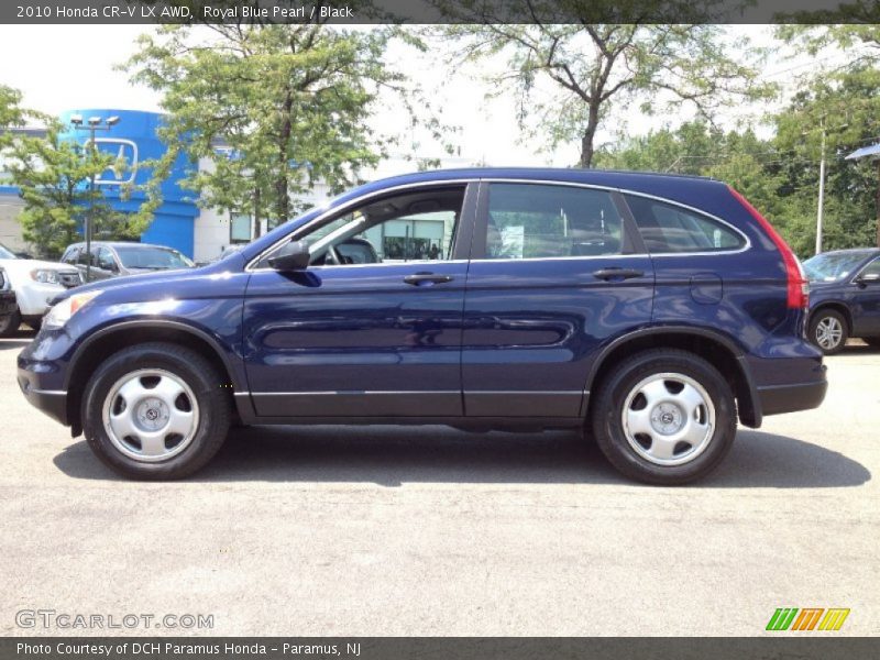 Royal Blue Pearl / Black 2010 Honda CR-V LX AWD
