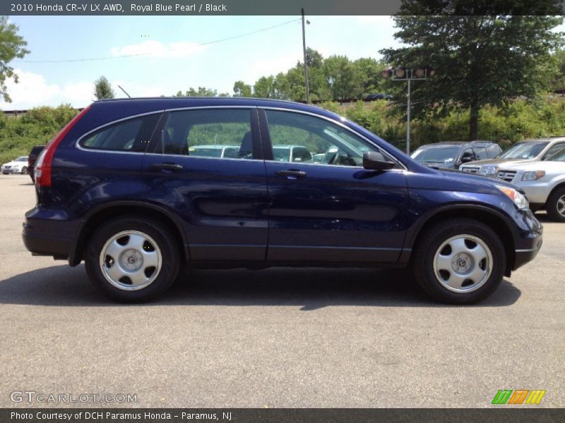 Royal Blue Pearl / Black 2010 Honda CR-V LX AWD