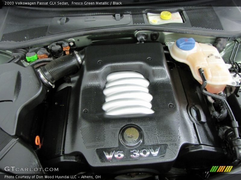 Fresco Green Metallic / Black 2003 Volkswagen Passat GLX Sedan