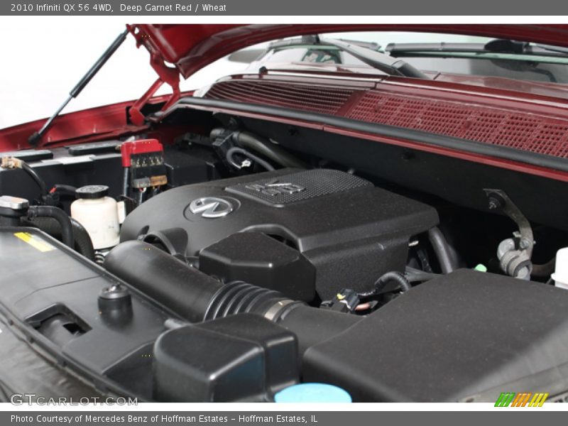 Deep Garnet Red / Wheat 2010 Infiniti QX 56 4WD