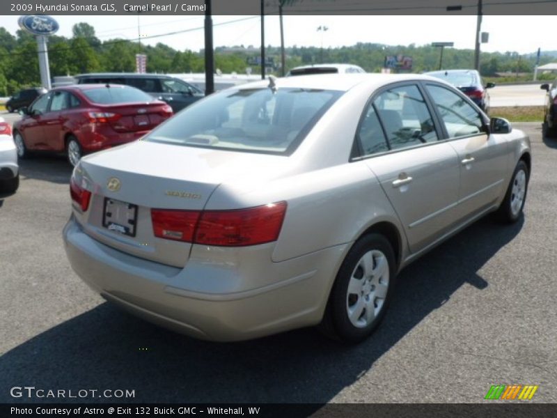 Camel Pearl / Camel 2009 Hyundai Sonata GLS