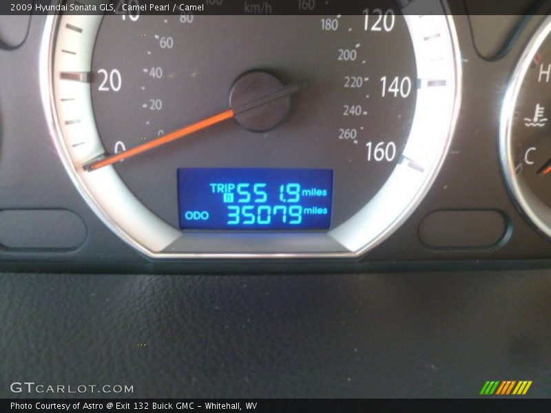 Camel Pearl / Camel 2009 Hyundai Sonata GLS