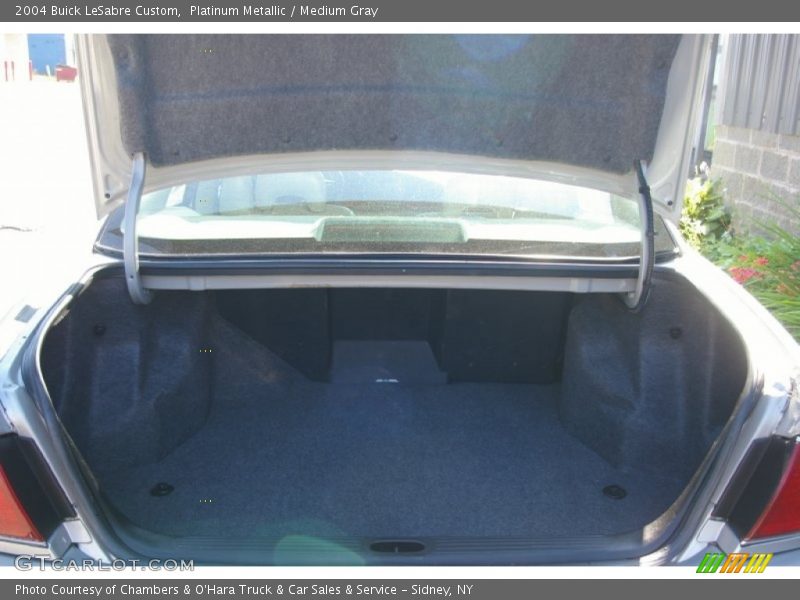 Platinum Metallic / Medium Gray 2004 Buick LeSabre Custom