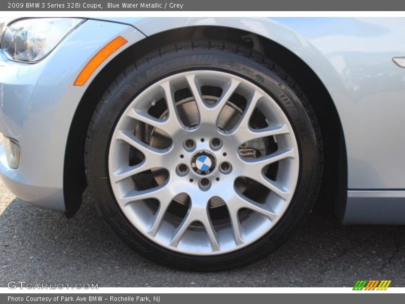 Blue Water Metallic / Grey 2009 BMW 3 Series 328i Coupe