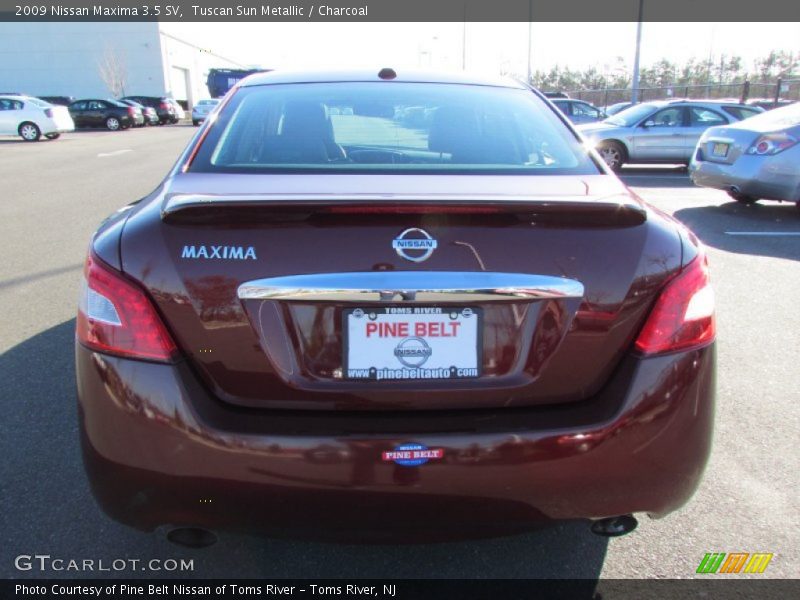 Tuscan Sun Metallic / Charcoal 2009 Nissan Maxima 3.5 SV