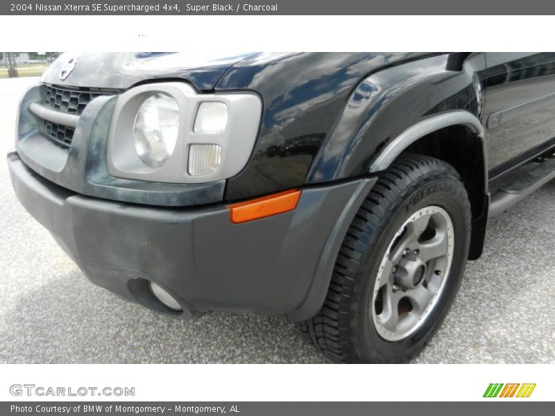 Super Black / Charcoal 2004 Nissan Xterra SE Supercharged 4x4