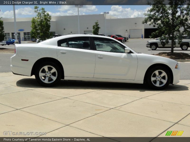 Bright White / Black 2011 Dodge Charger SE