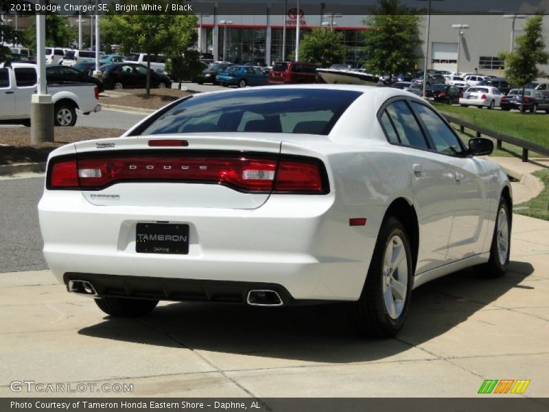 Bright White / Black 2011 Dodge Charger SE