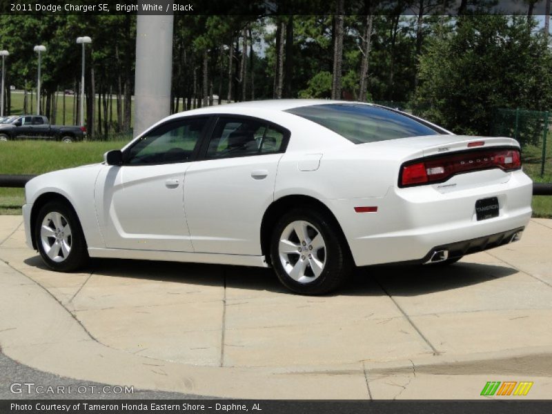 Bright White / Black 2011 Dodge Charger SE
