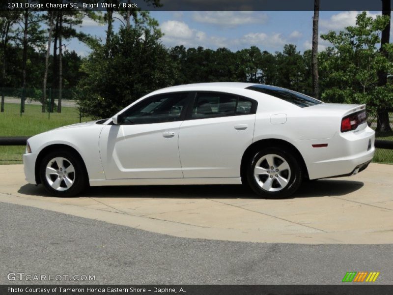 Bright White / Black 2011 Dodge Charger SE