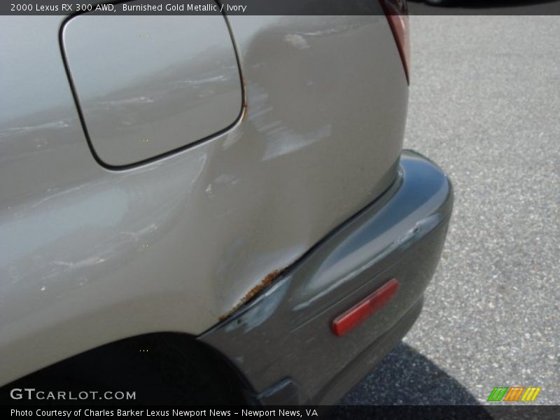 Burnished Gold Metallic / Ivory 2000 Lexus RX 300 AWD