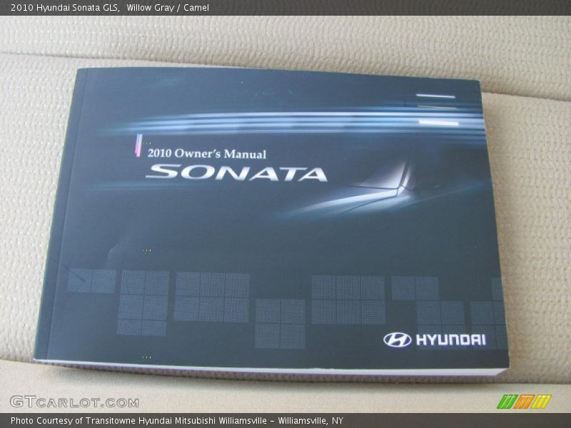 Willow Gray / Camel 2010 Hyundai Sonata GLS