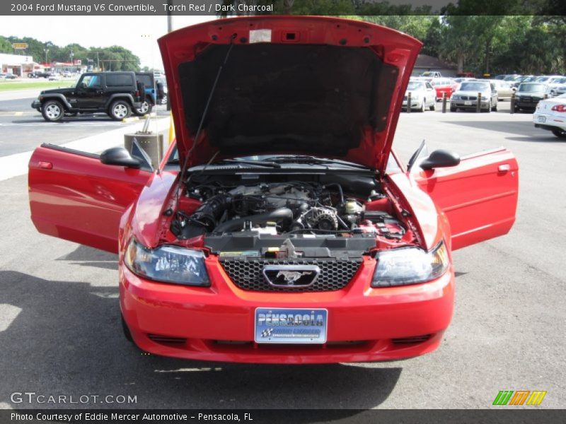 Torch Red / Dark Charcoal 2004 Ford Mustang V6 Convertible