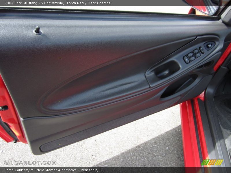 Door Panel of 2004 Mustang V6 Convertible