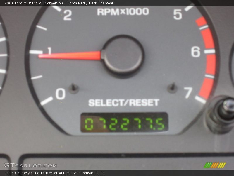 Torch Red / Dark Charcoal 2004 Ford Mustang V6 Convertible