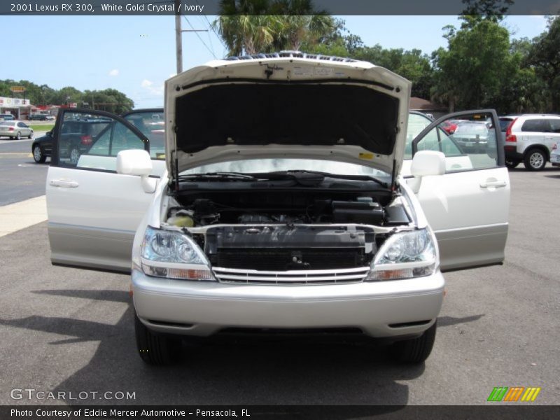 White Gold Crystal / Ivory 2001 Lexus RX 300