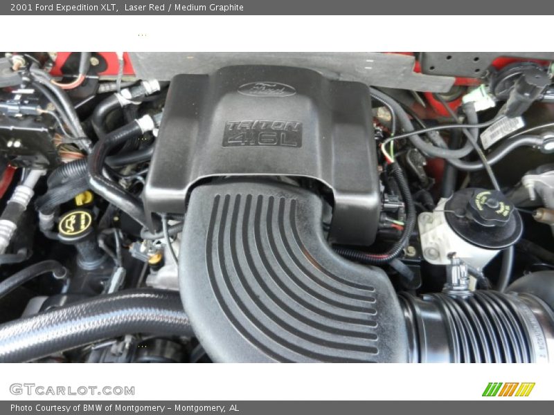 Laser Red / Medium Graphite 2001 Ford Expedition XLT