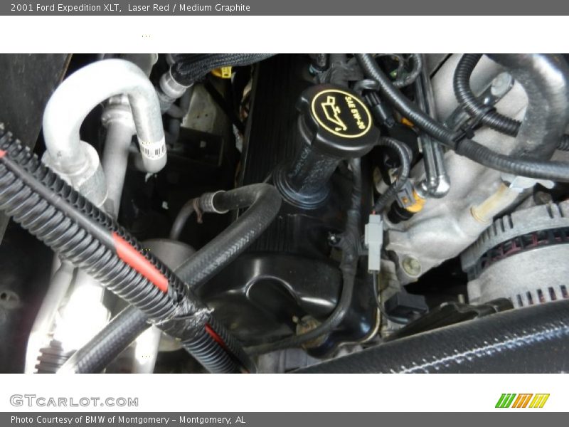 Laser Red / Medium Graphite 2001 Ford Expedition XLT