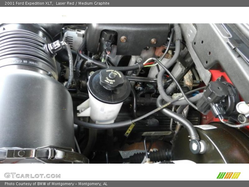 Laser Red / Medium Graphite 2001 Ford Expedition XLT