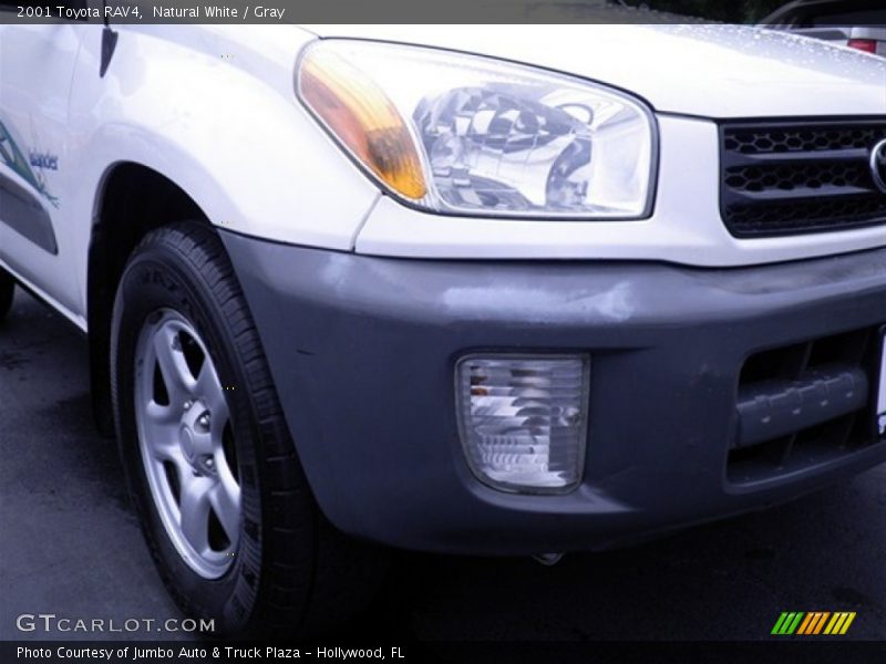 Natural White / Gray 2001 Toyota RAV4