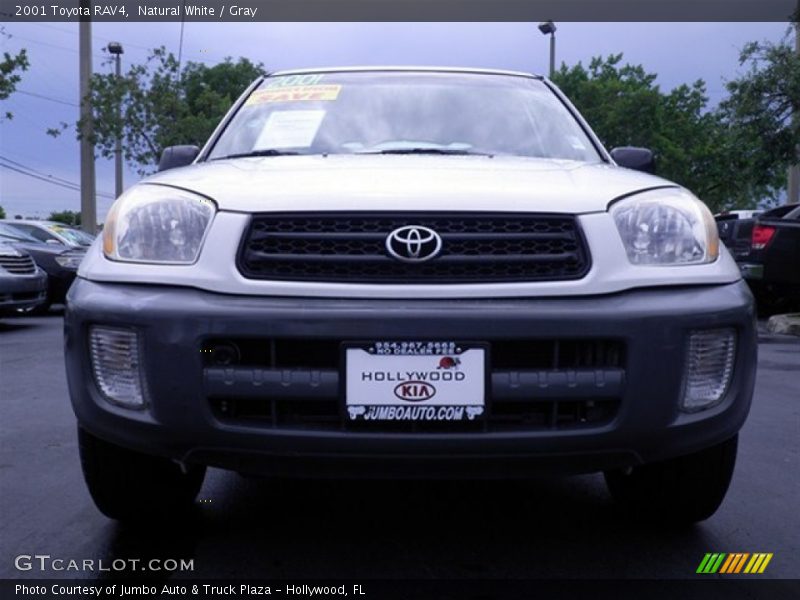 Natural White / Gray 2001 Toyota RAV4