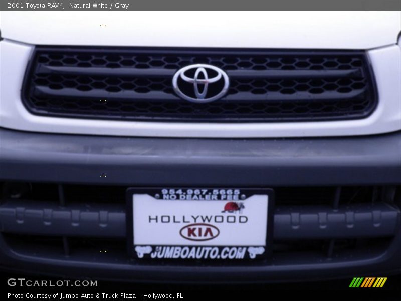 Natural White / Gray 2001 Toyota RAV4